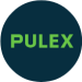 pulex